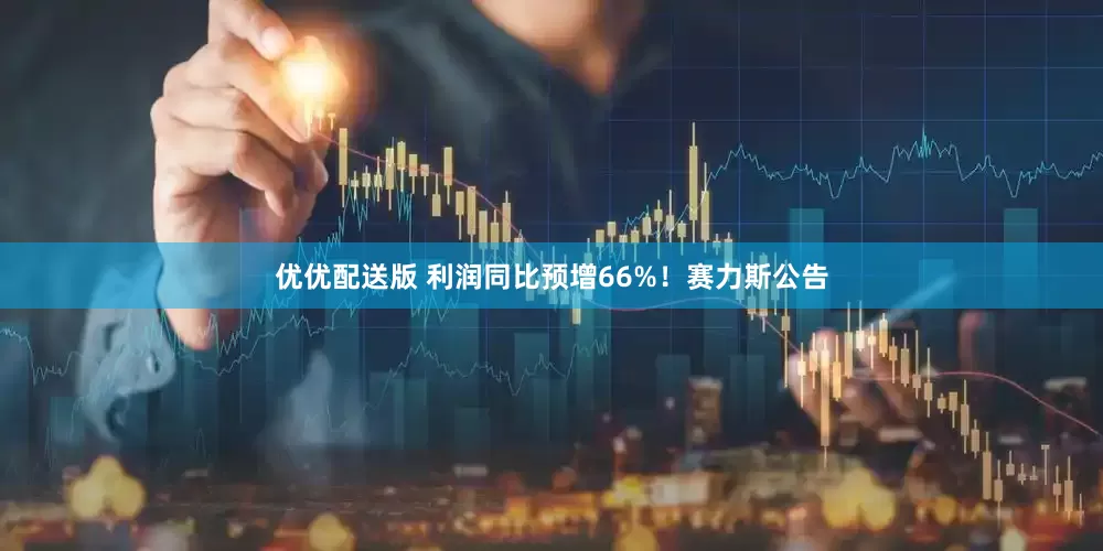 优优配送版 利润同比预增66%！赛力斯公告