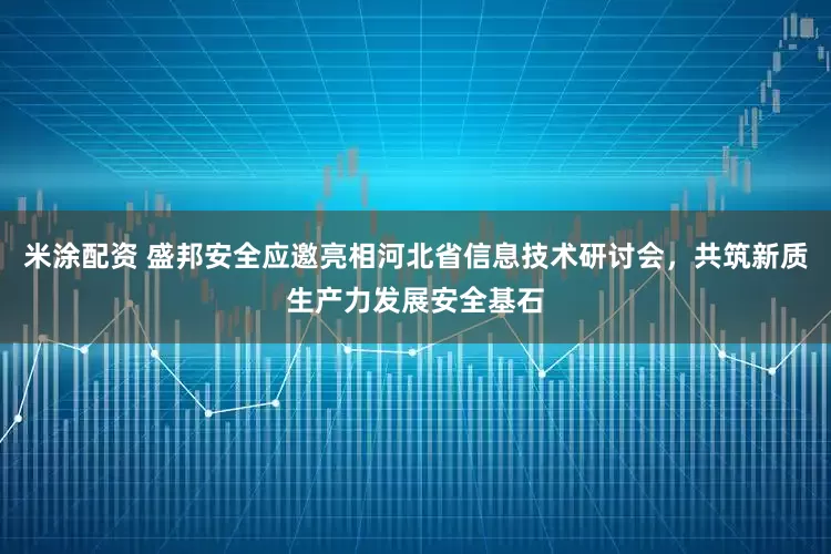 米涂配资 盛邦安全应邀亮相河北省信息技术研讨会，共筑新质生产力发展安全基石